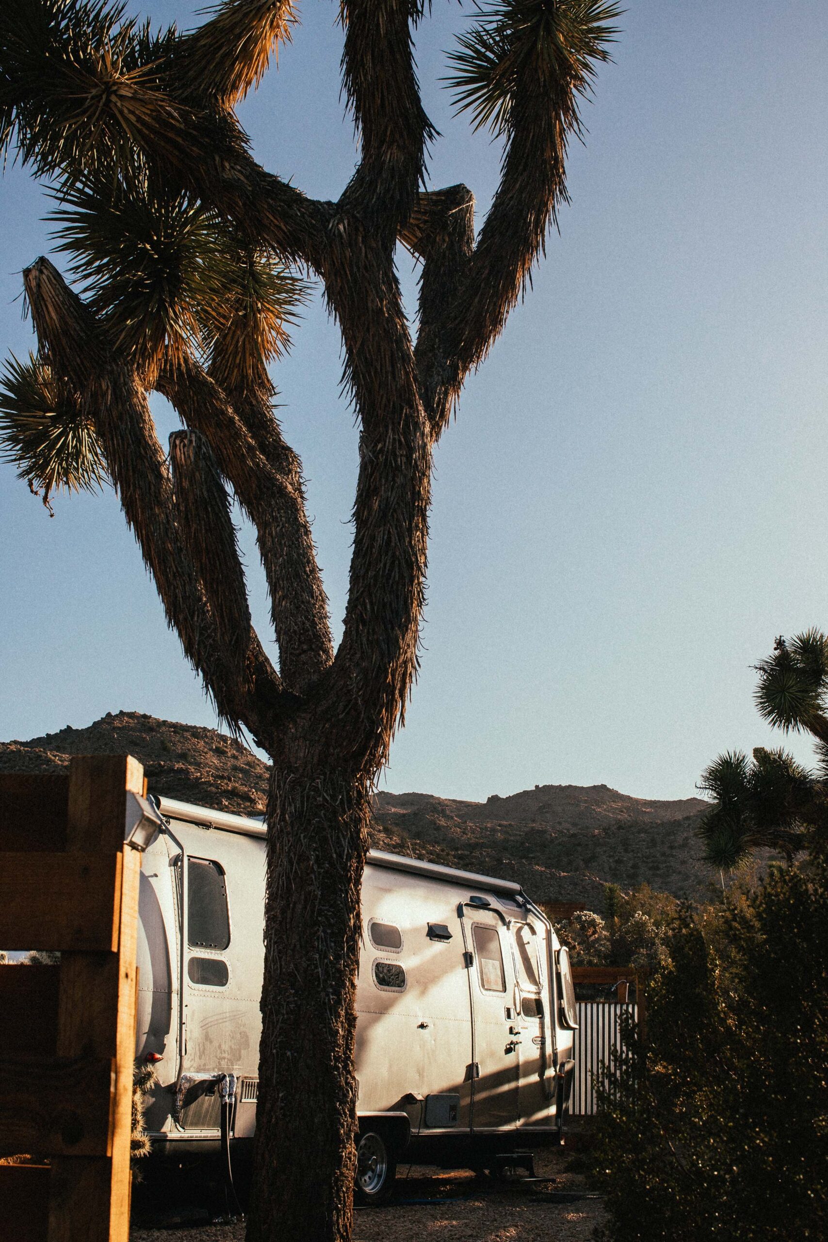 Joshua_Tree_airstream_airbnb_vertical.jpg